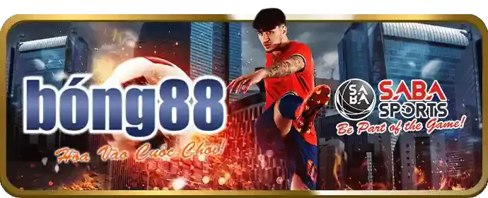 Giao diện thân thiện p3bet App